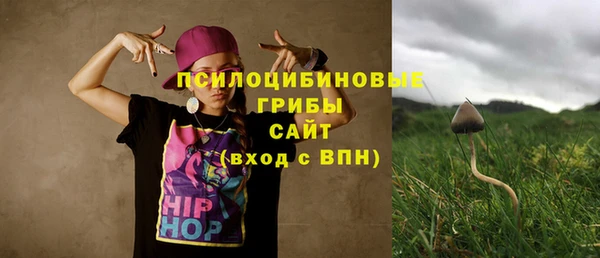 PSILOCYBIN Артём