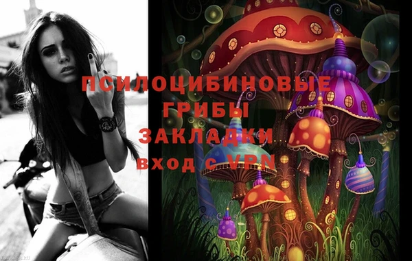 гашик Елабуга