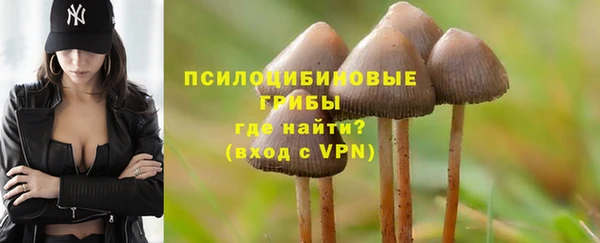 PSILOCYBIN Гусь-Хрустальный