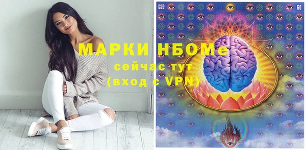 тгк Дмитриев
