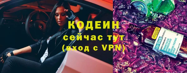 тгк Дмитриев