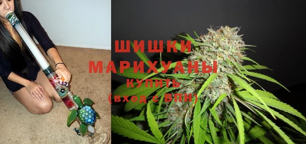 мяу мяу мука Ельня