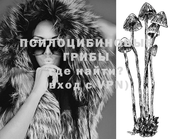 mix Дмитровск