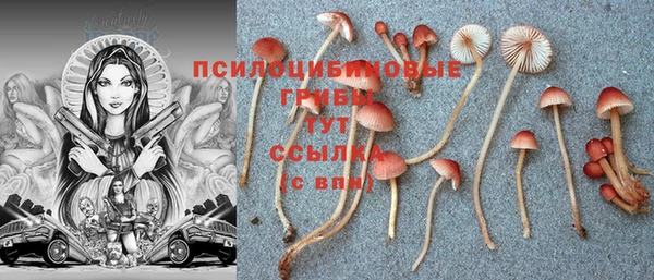 кокс Лихославль