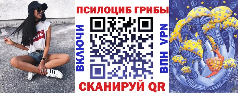 Псилоцибиновые грибы Cubensis  ОМГ ОМГ зеркало  Ельня 